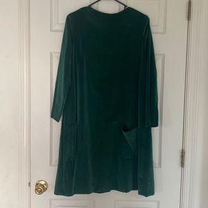 Vintage velvet dress